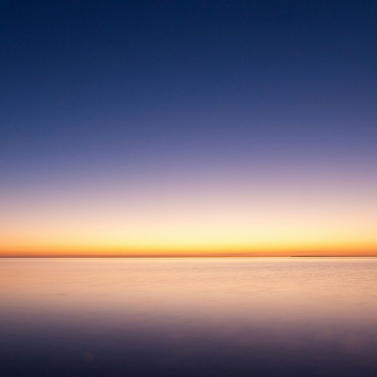 ネクストサイエンスの今後とオービトロンの新しいフォース