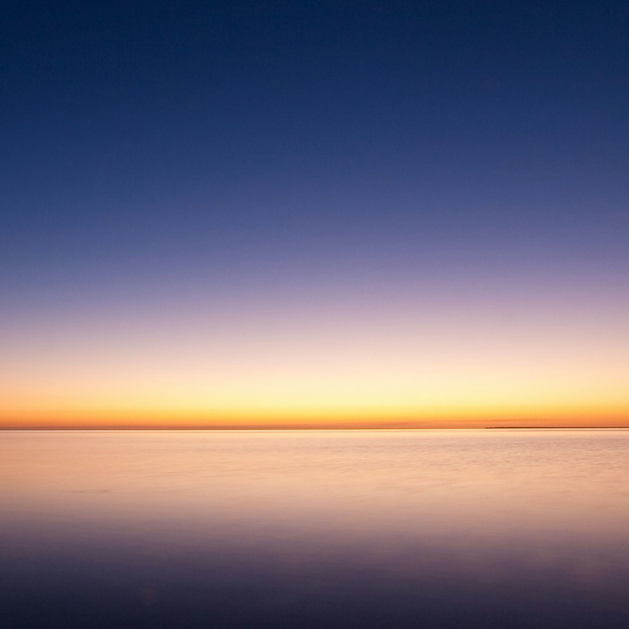 ネクストサイエンスの今後とオービトロンの新しいフォース